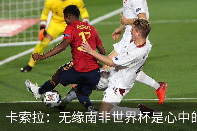 卡索拉：无缘南非世界杯是心中的刺